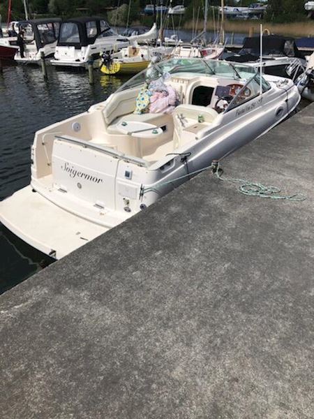 Rinker Festna vee 250 Både & skibe
